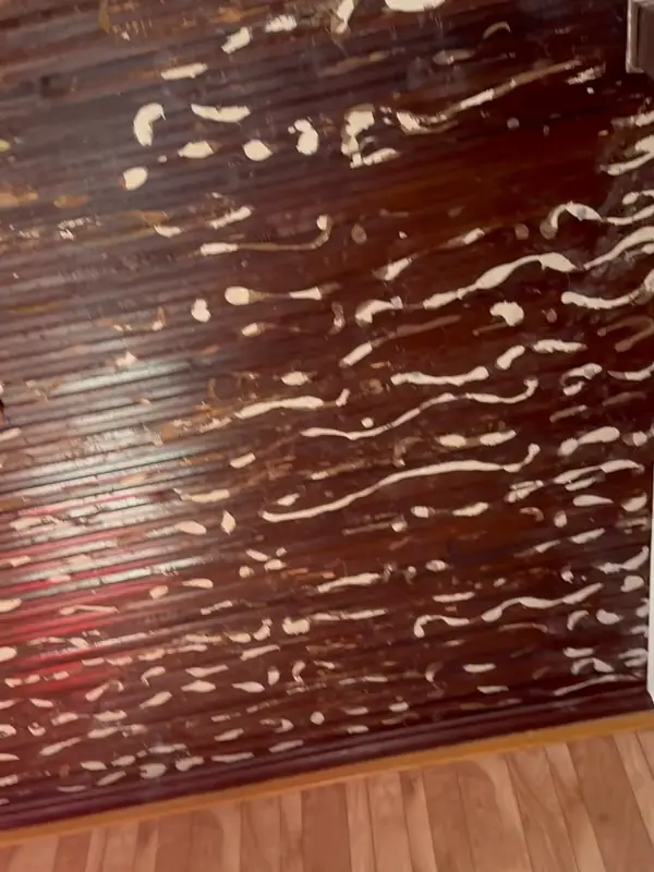 Old dark wood ceiling with peeling paint in a church, before the work
